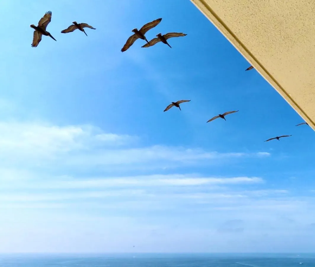 Apartamento Just Updated - Beachfront Ocean View, 19th Floor