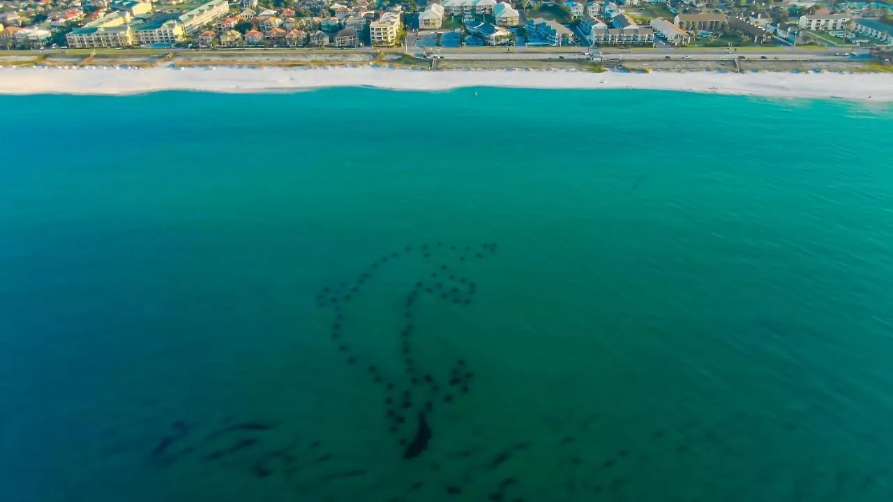 La Quinta & By Wyndham Miramar Beach-destin Hotel