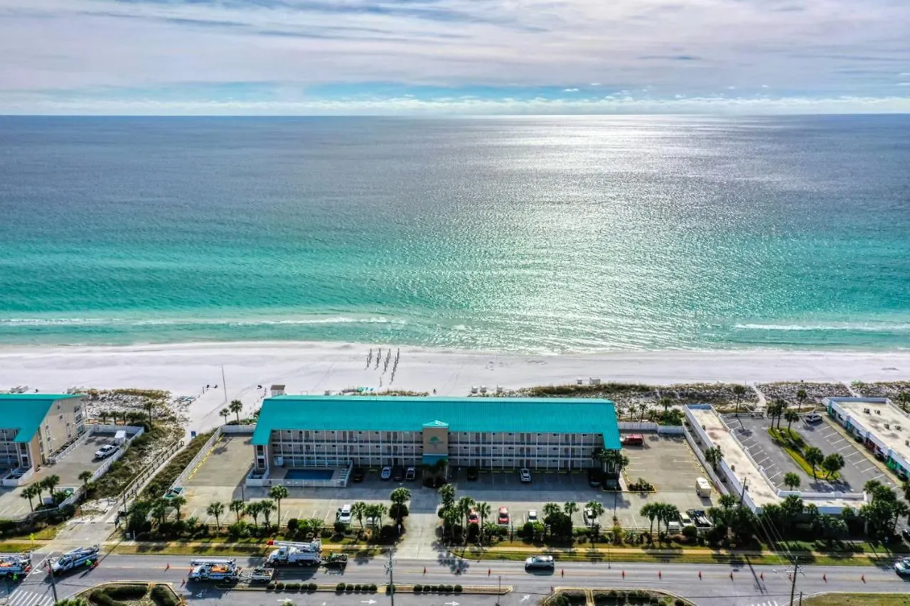 Salty Dolphin - Gulf Front Oasis