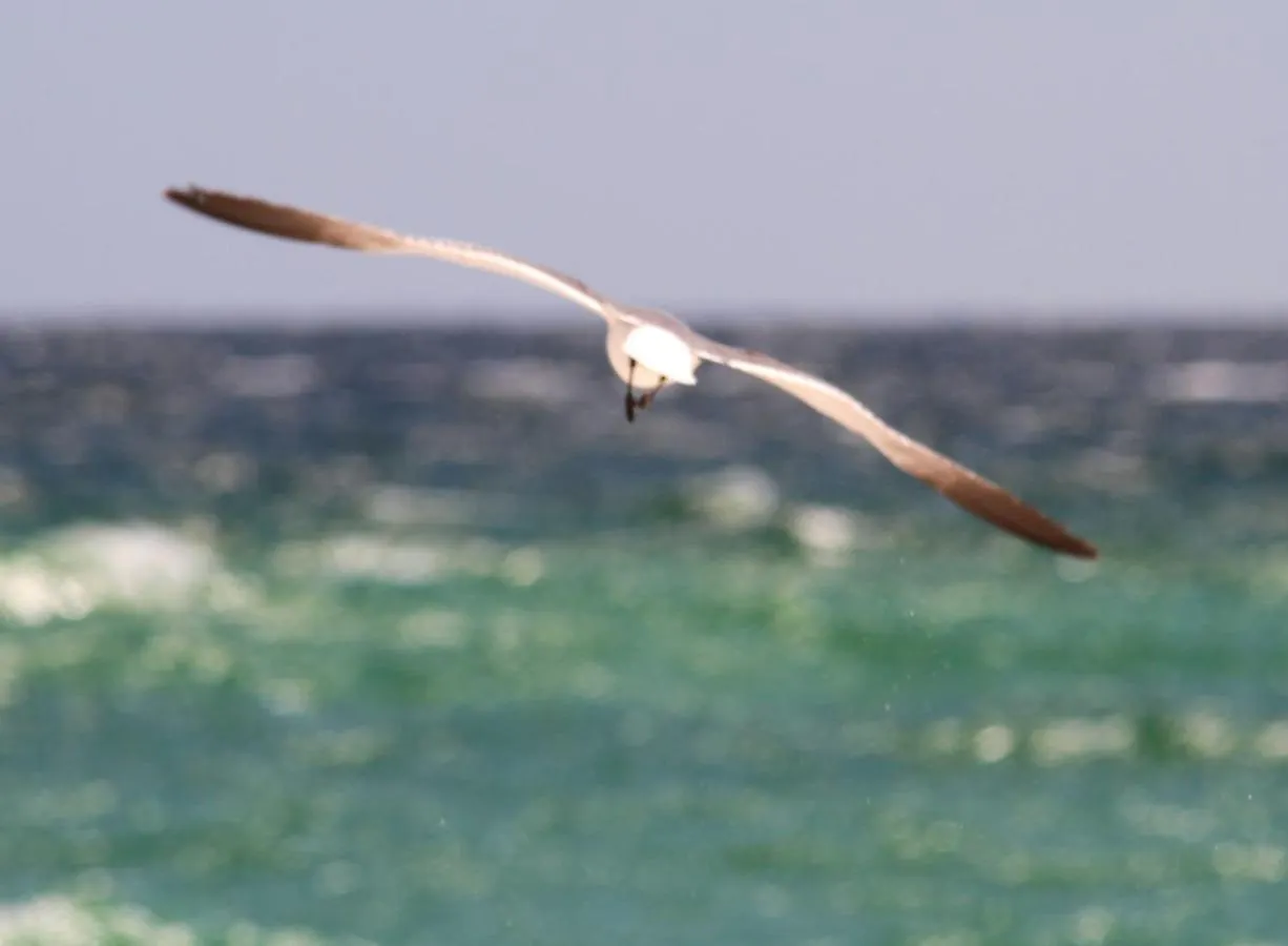 Coastal Tides At Enclave 403a Holiday home Destin