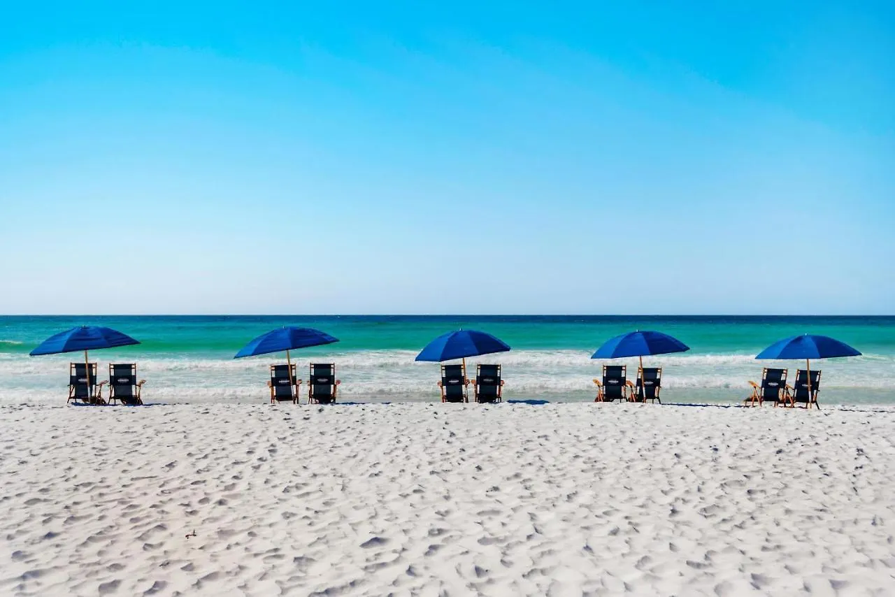 Palms * Destin