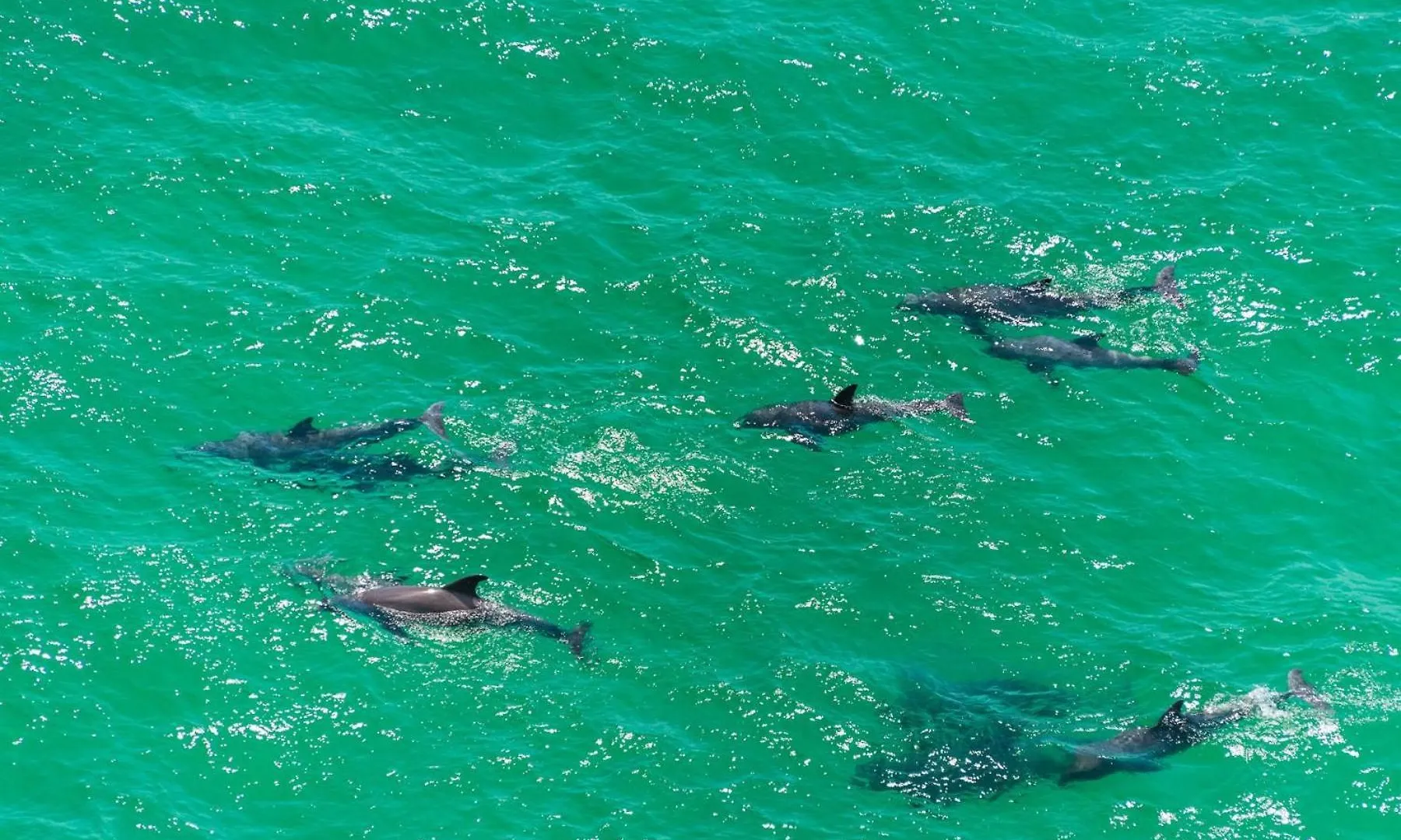Emerald Waters 0101