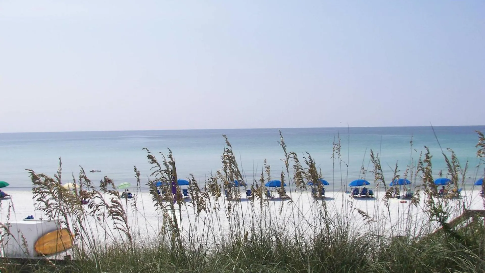 Calatrava Sun Repeat * Destin