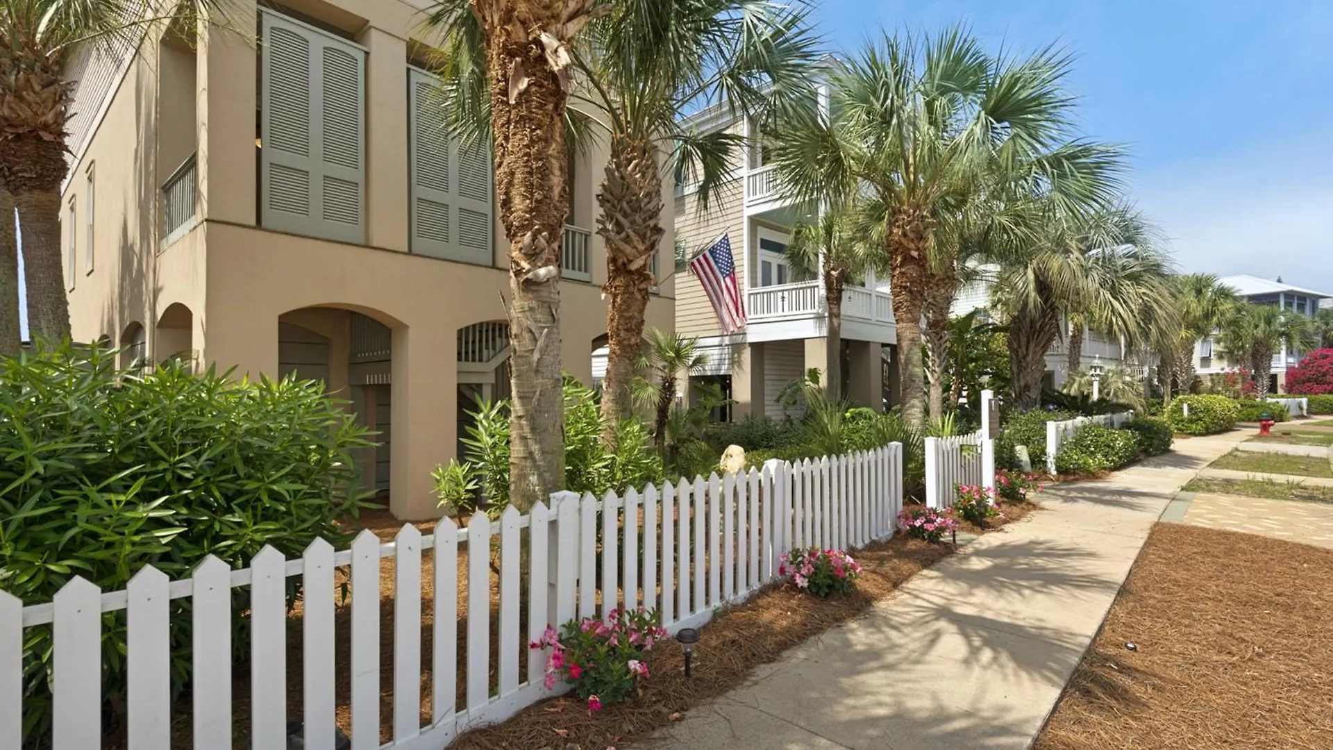 Palmetto