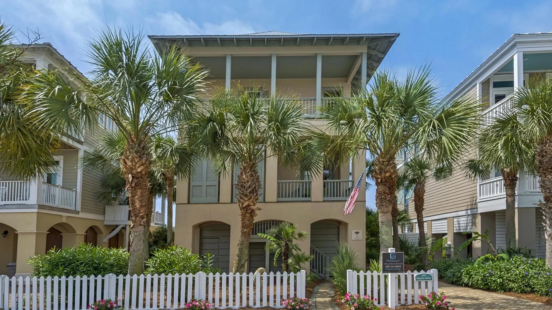 Palmetto *