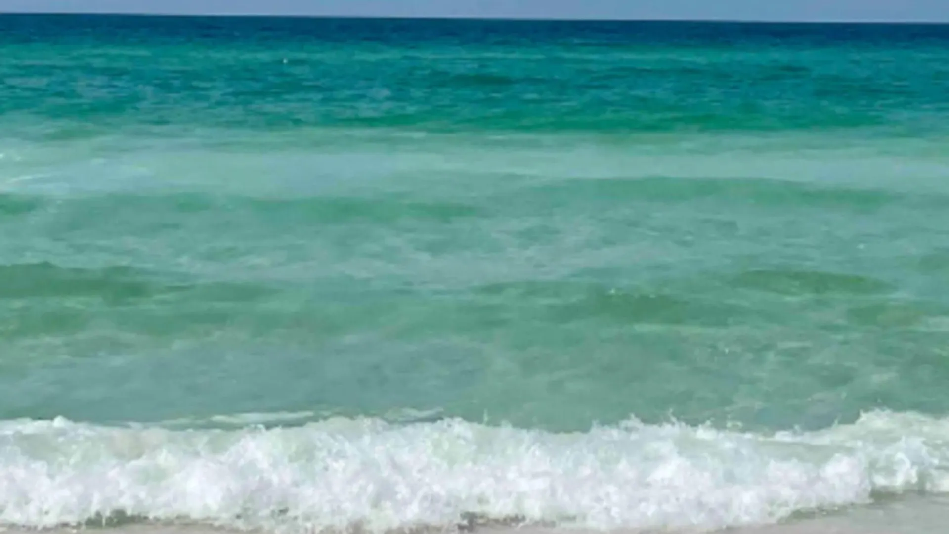 Gulf Walk 102