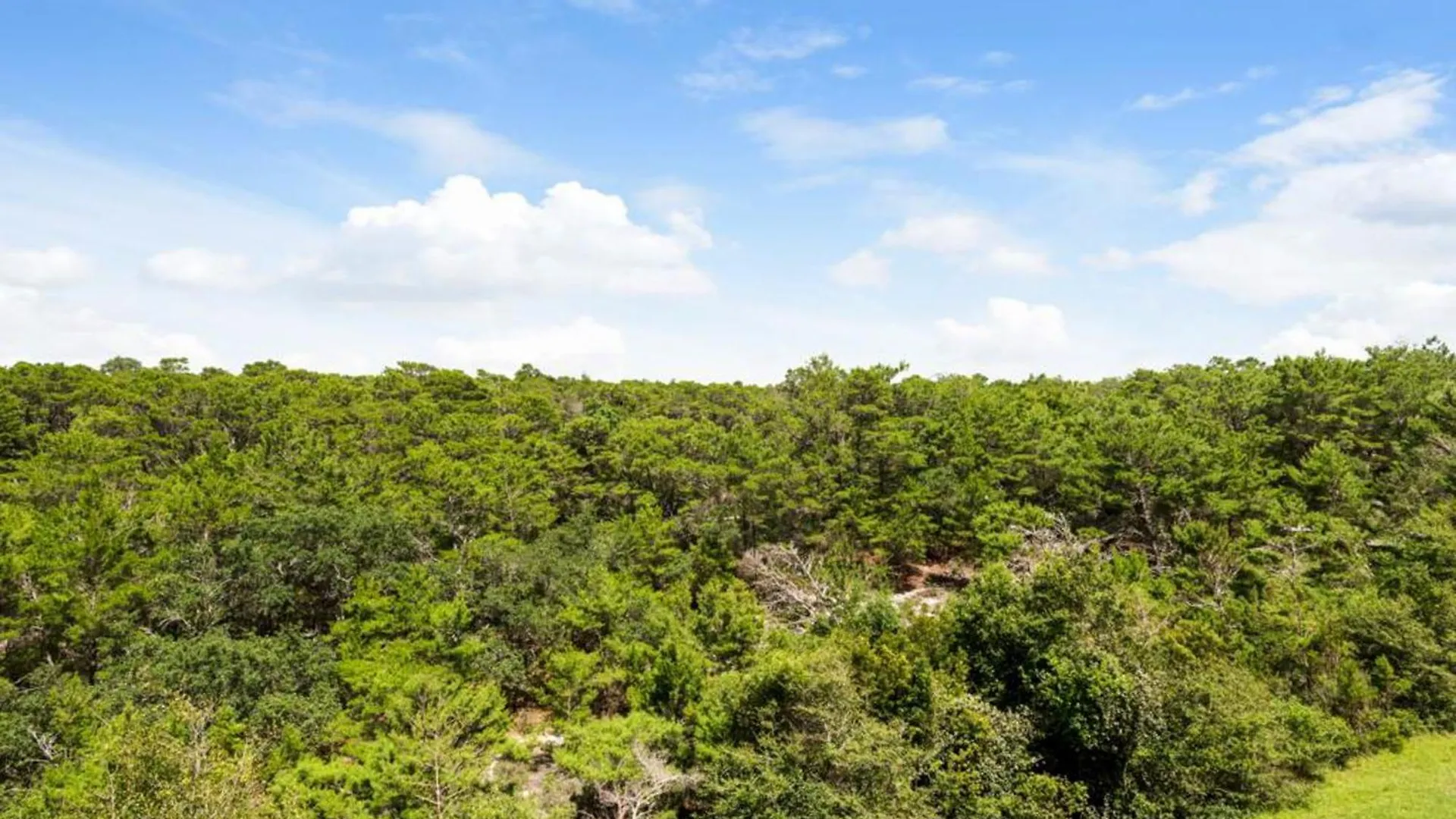 Tops'l Summit I Destin