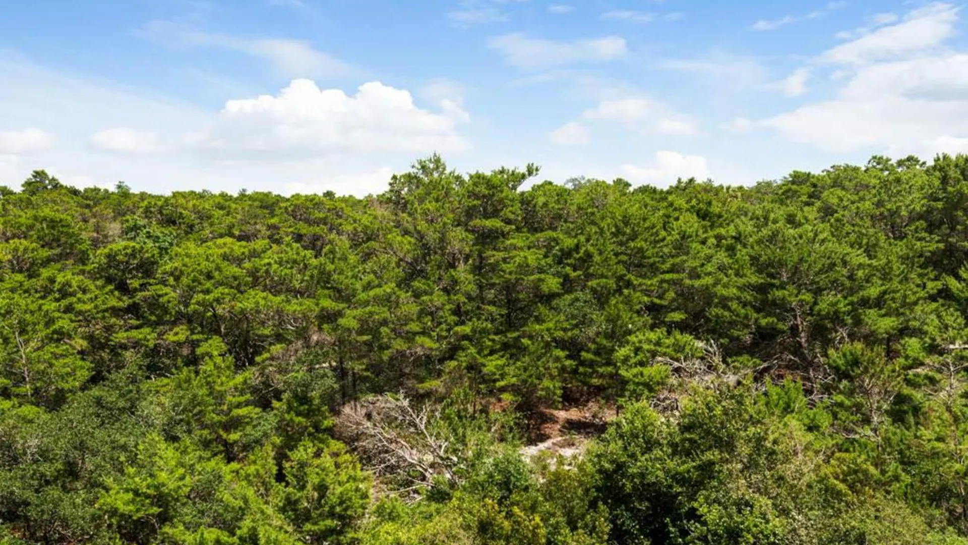Casa vacanze Tops'l Summit I Destin