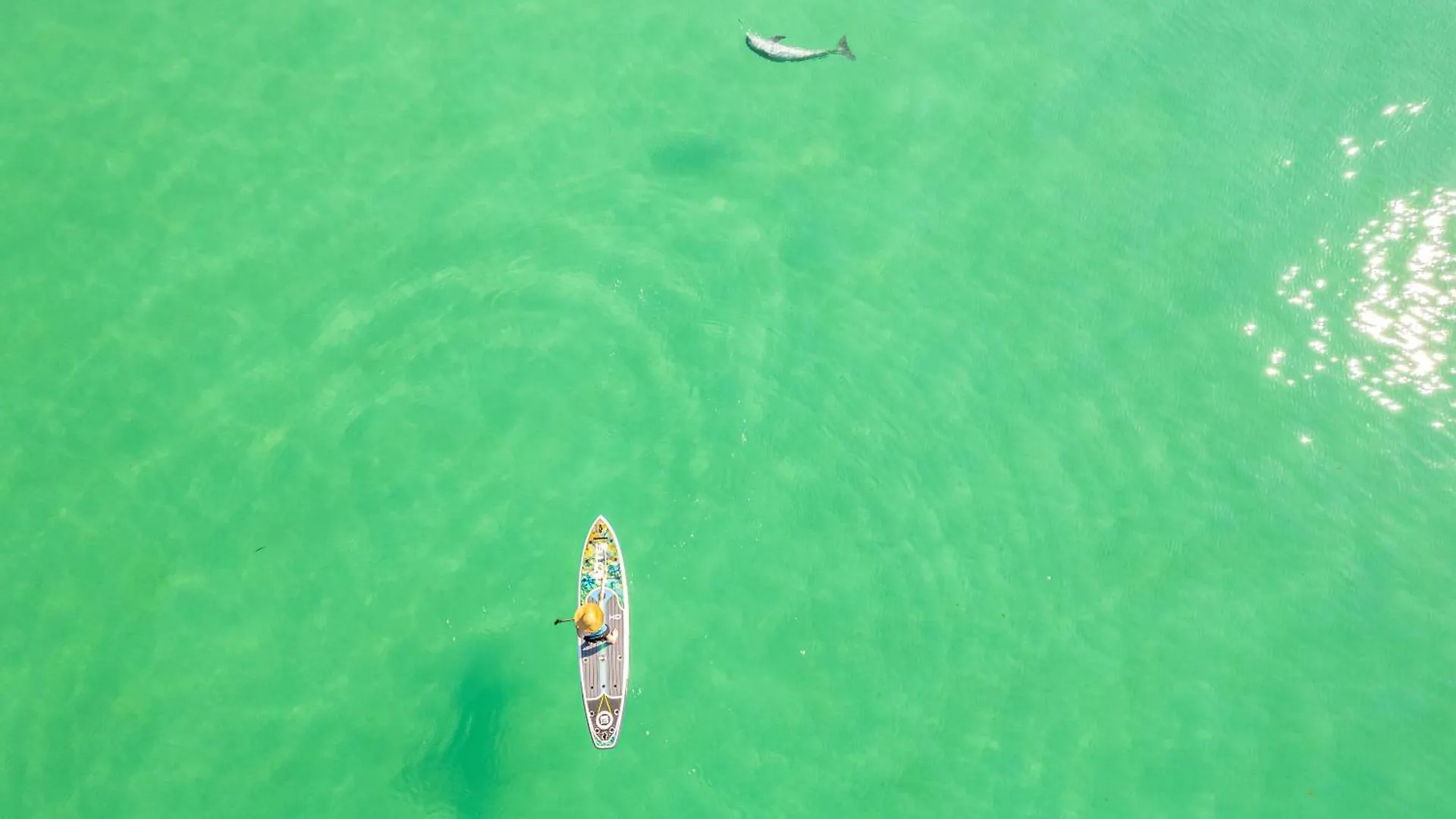 Dolphin Point 306c- By Isle Destin