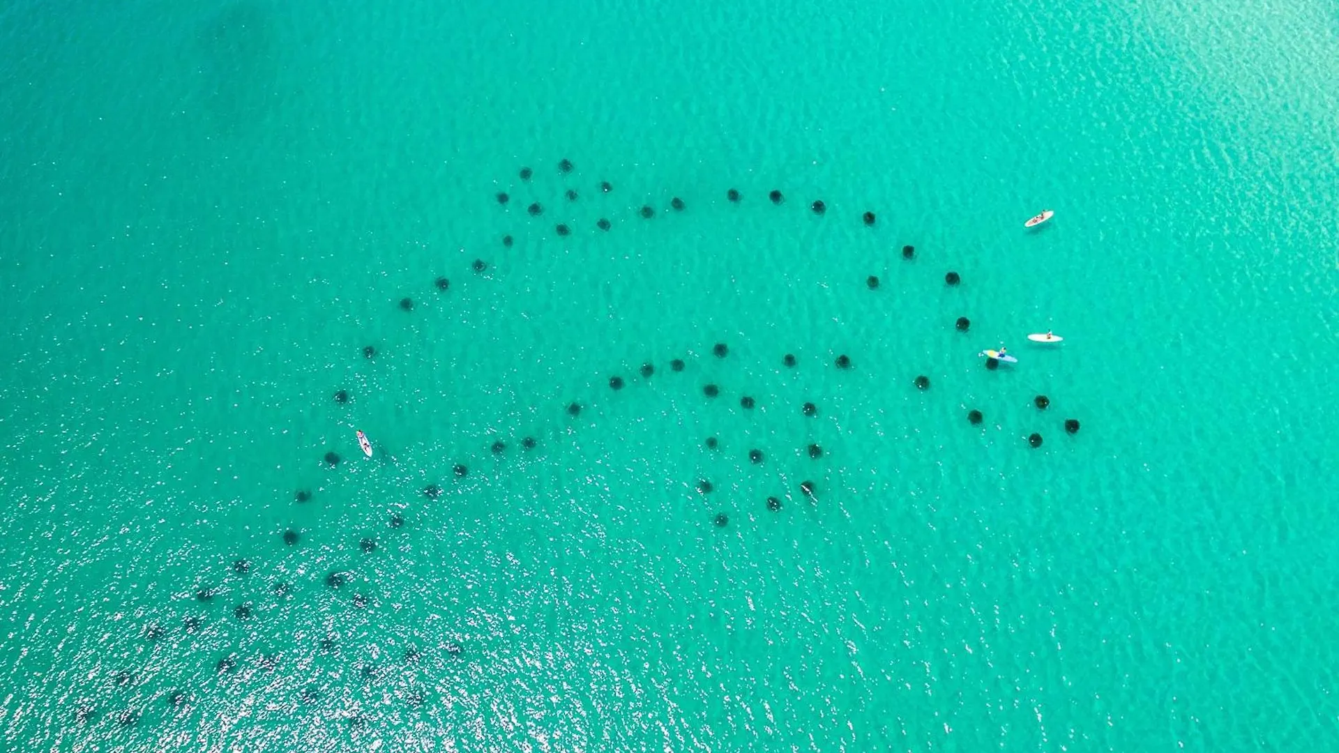 Inlet Reef 602- By Isle * Destin