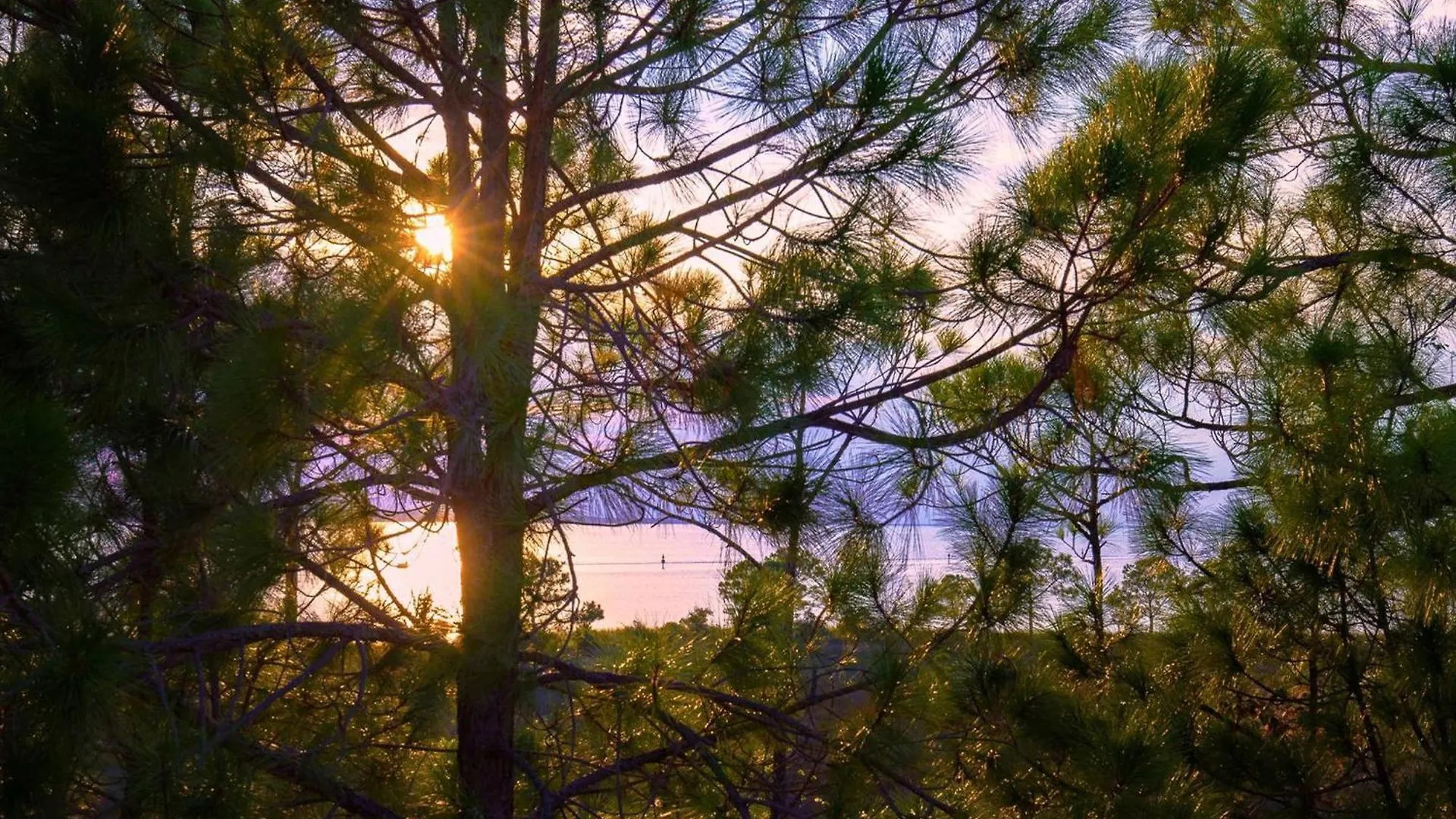 Βίλα Le Jardin 169 Luxurious Escape To The Ocean Bay Views