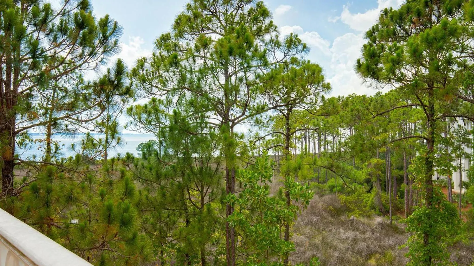 Βίλα Le Jardin 169 Luxurious Escape To The Ocean Bay Views