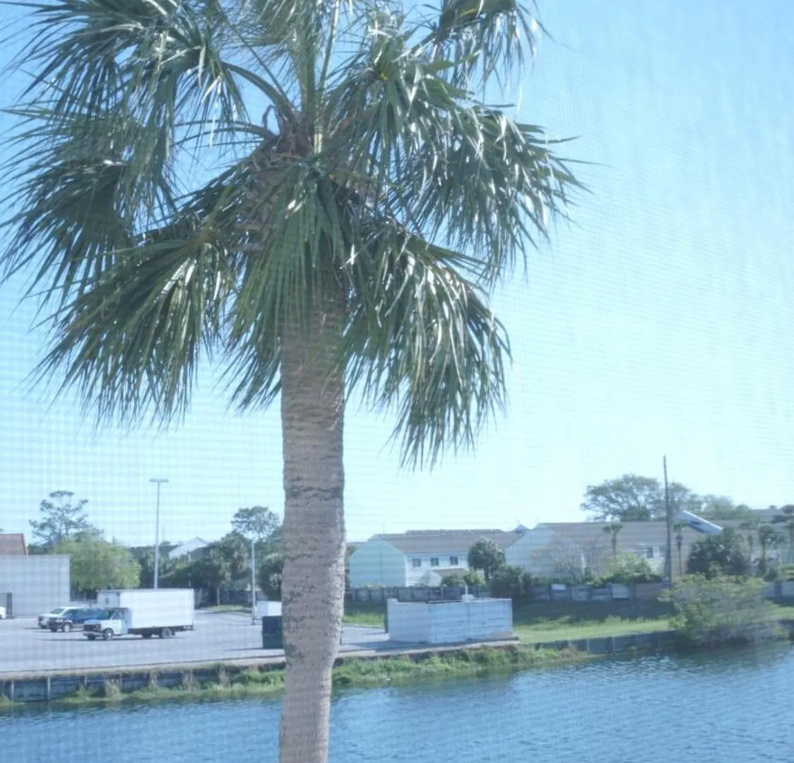 Lovely Townhome - Shoreline Towers Walk Pool