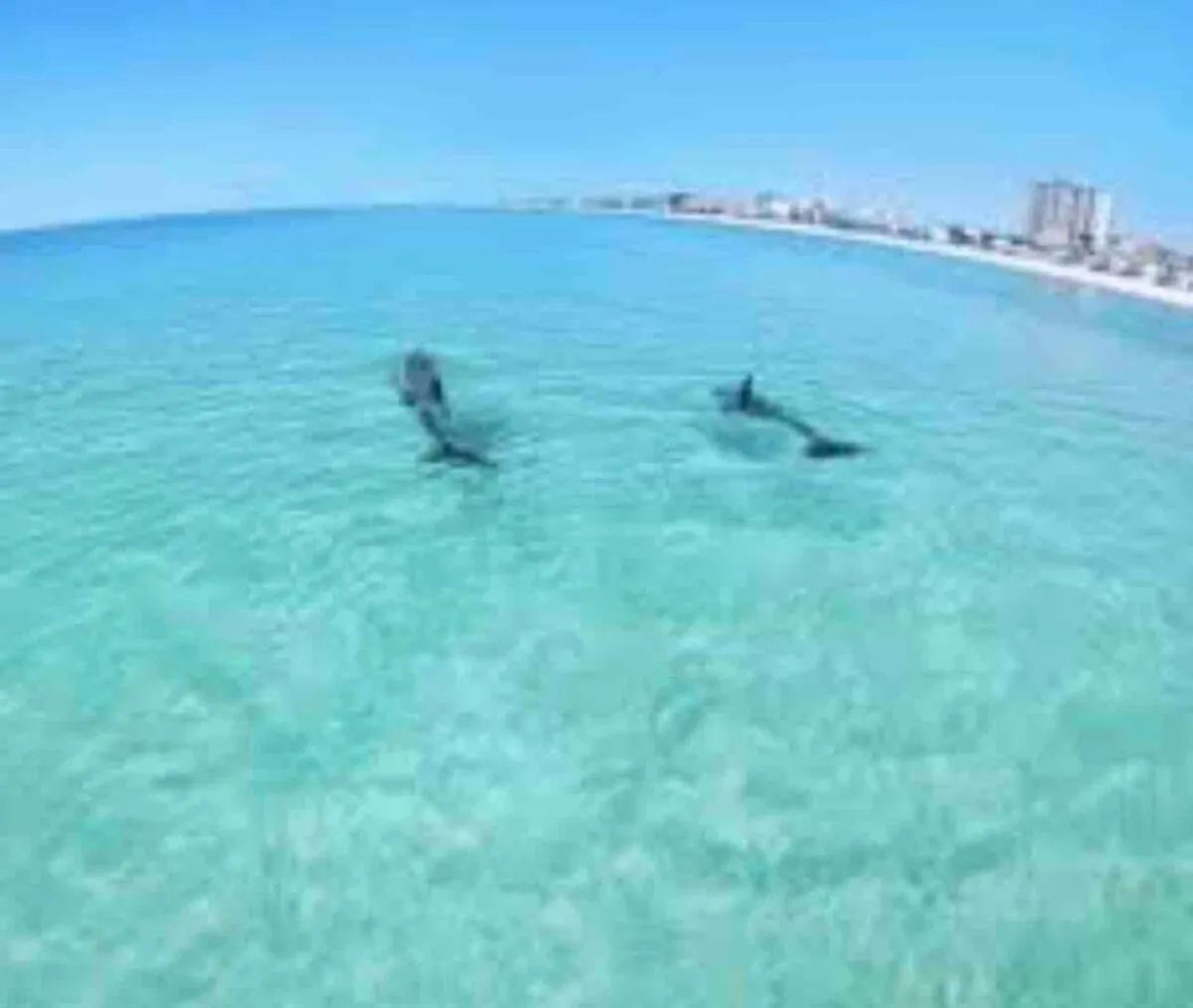 Nobles Nest In Apartamento Destin