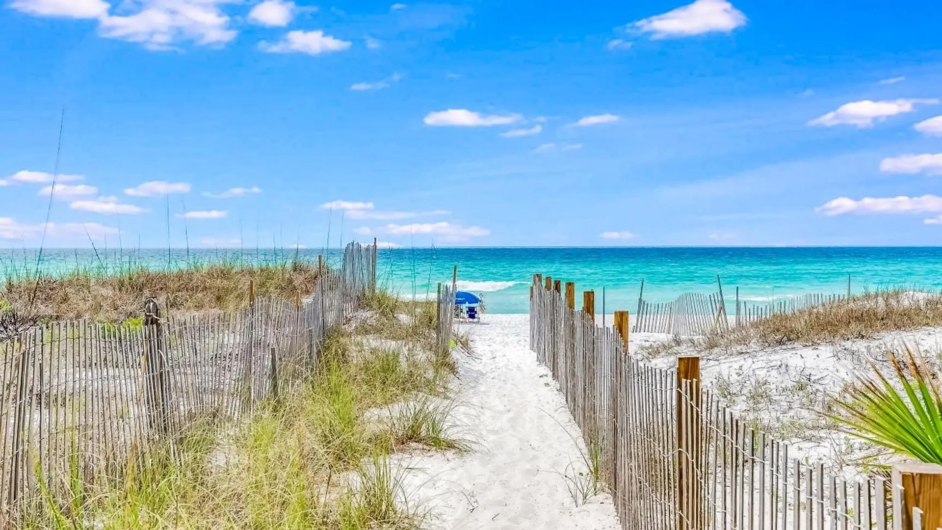 Seacove 10d Destin