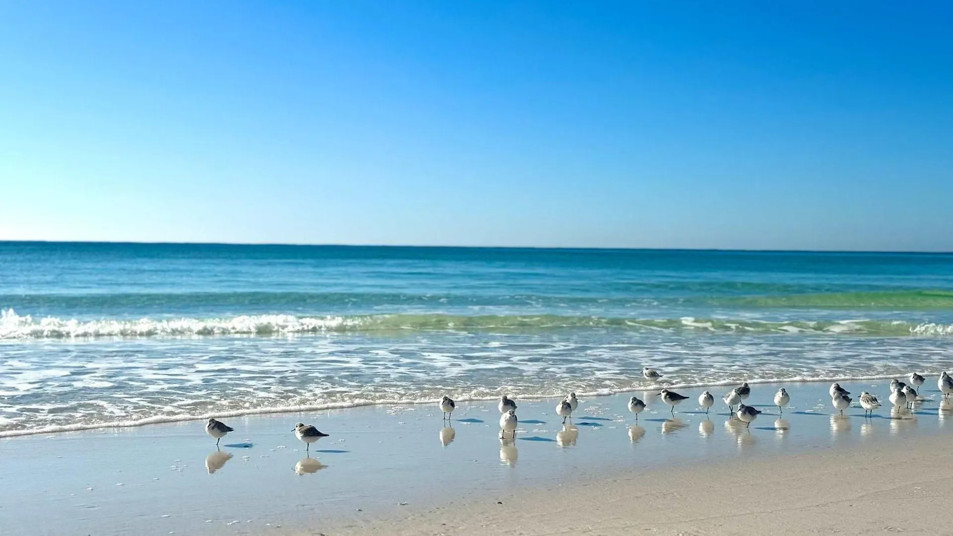 Holiday home Sapphire Sands 3 Pools Pet Friendly