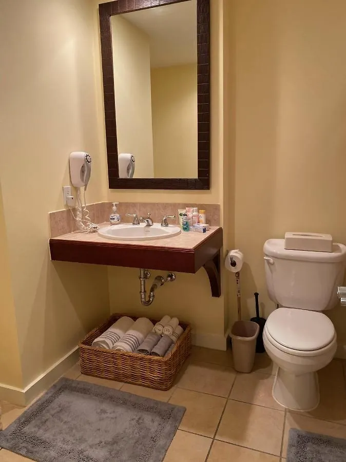 Ocean View Luxurious Condo-best Location + Balcony
