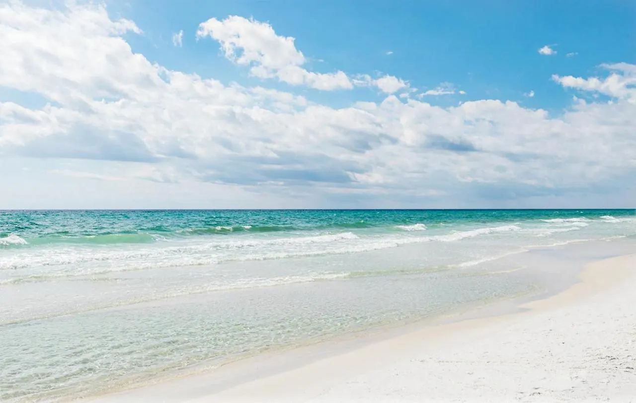 Flamingo Palms Destin