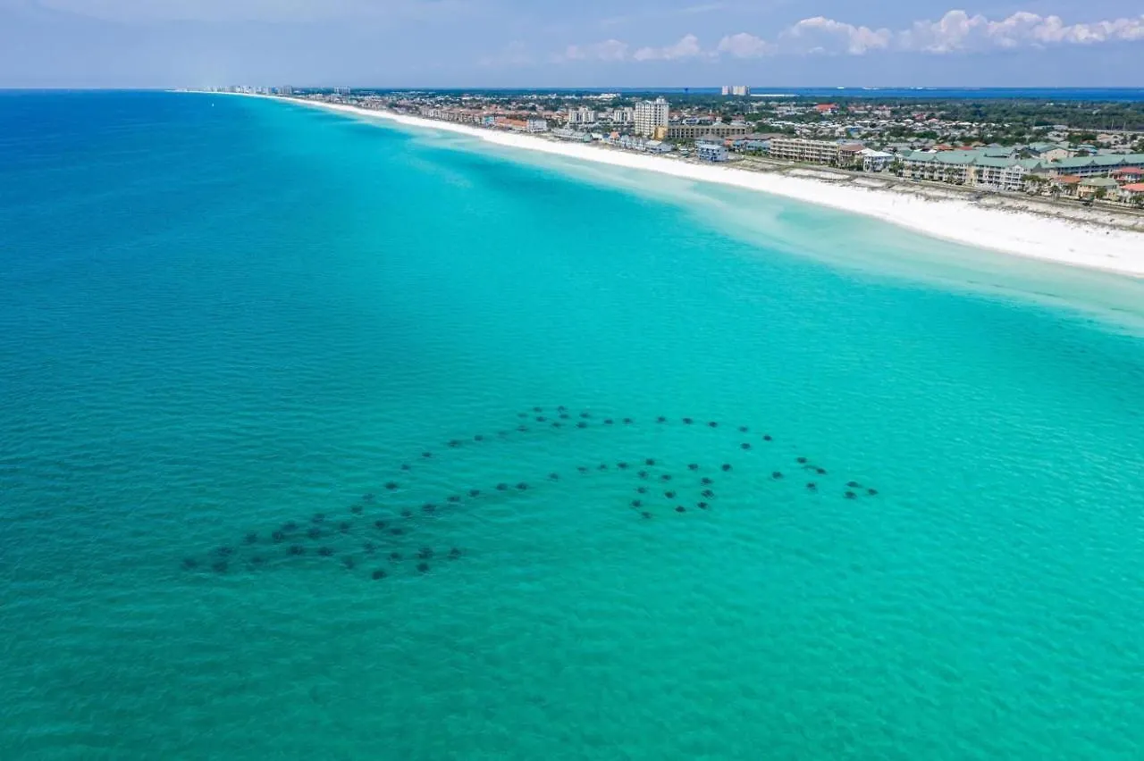 Sandprints E10 * Destin