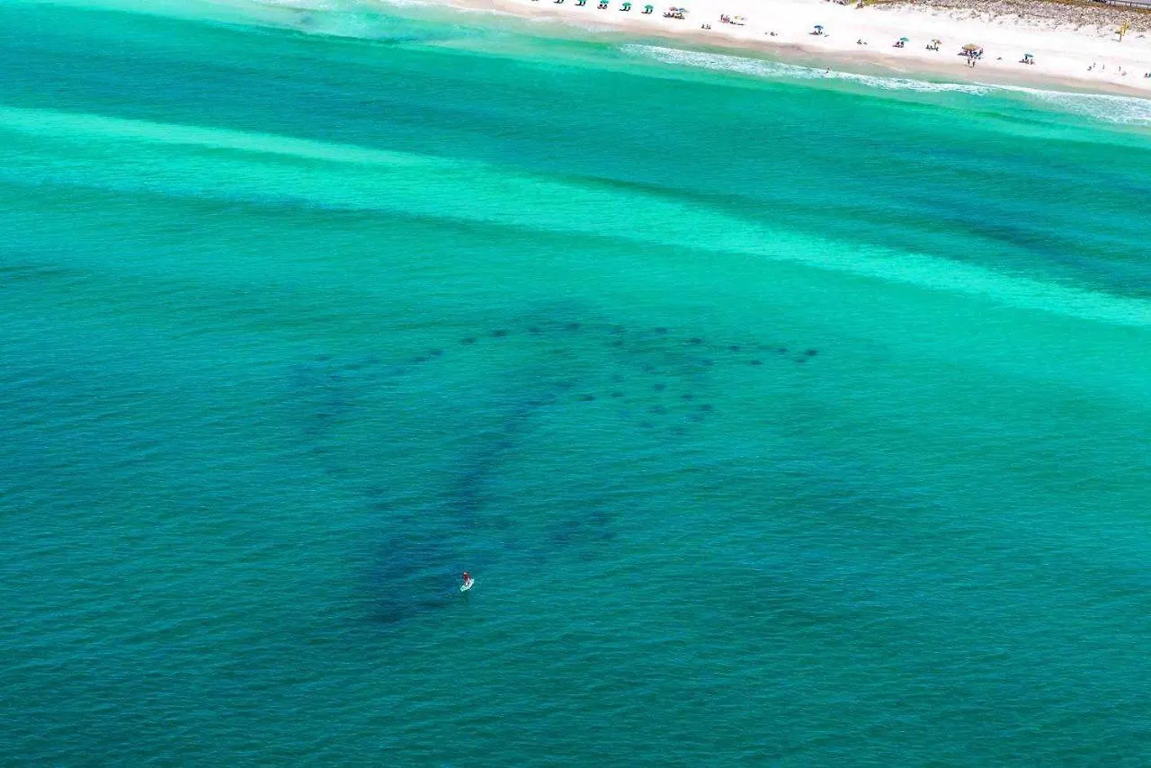 Holiday home Another Day In Paradise Destin