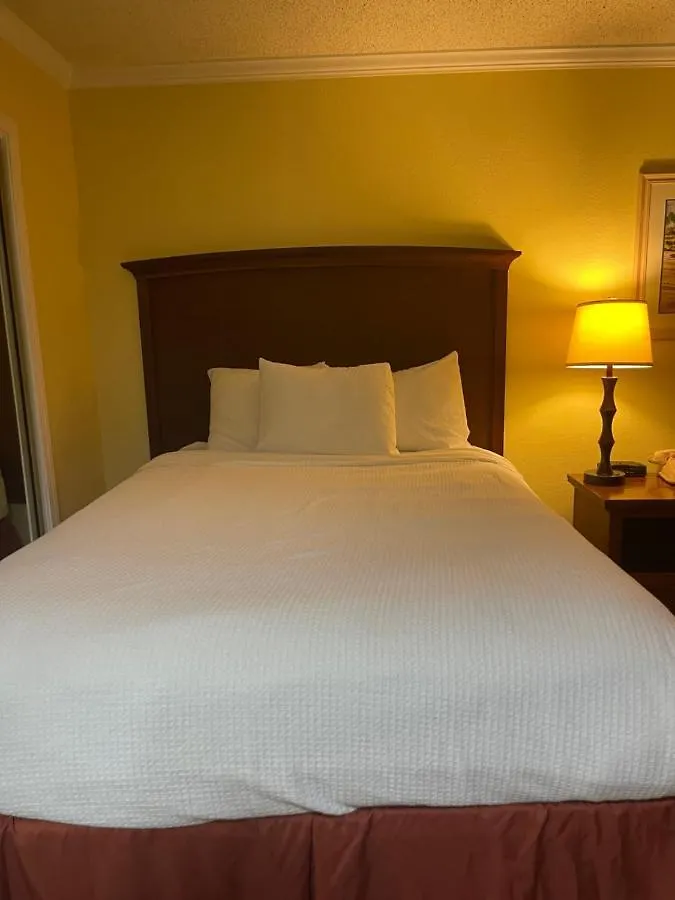 Hotel Club 3*