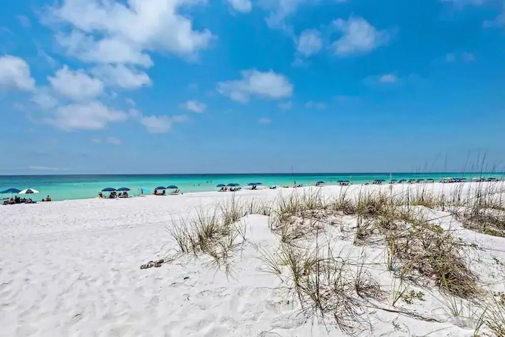 Sea La Vie Destin