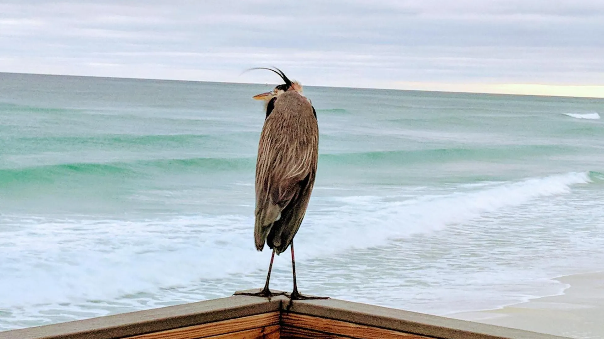 Holiday home Surf And Racquet Unit 519 Destin