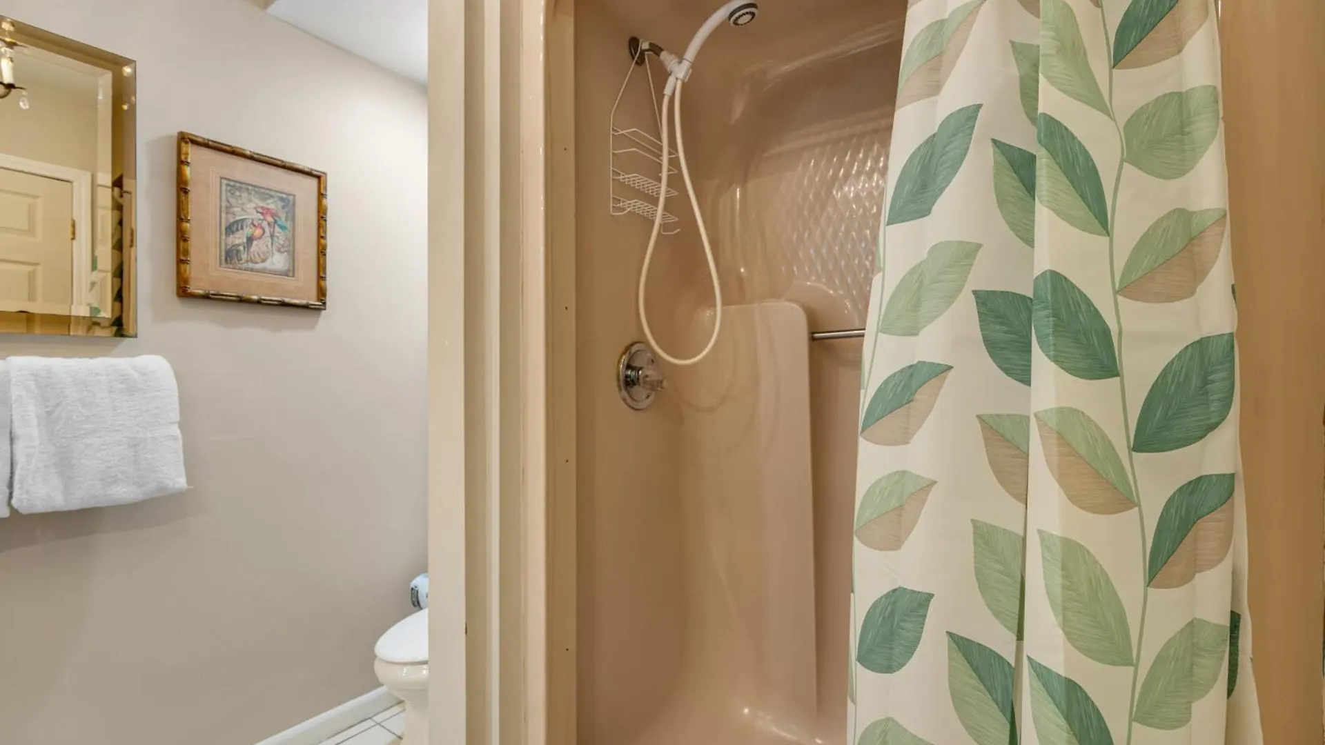 Dolphin Run At Reef Townhomes * Destin