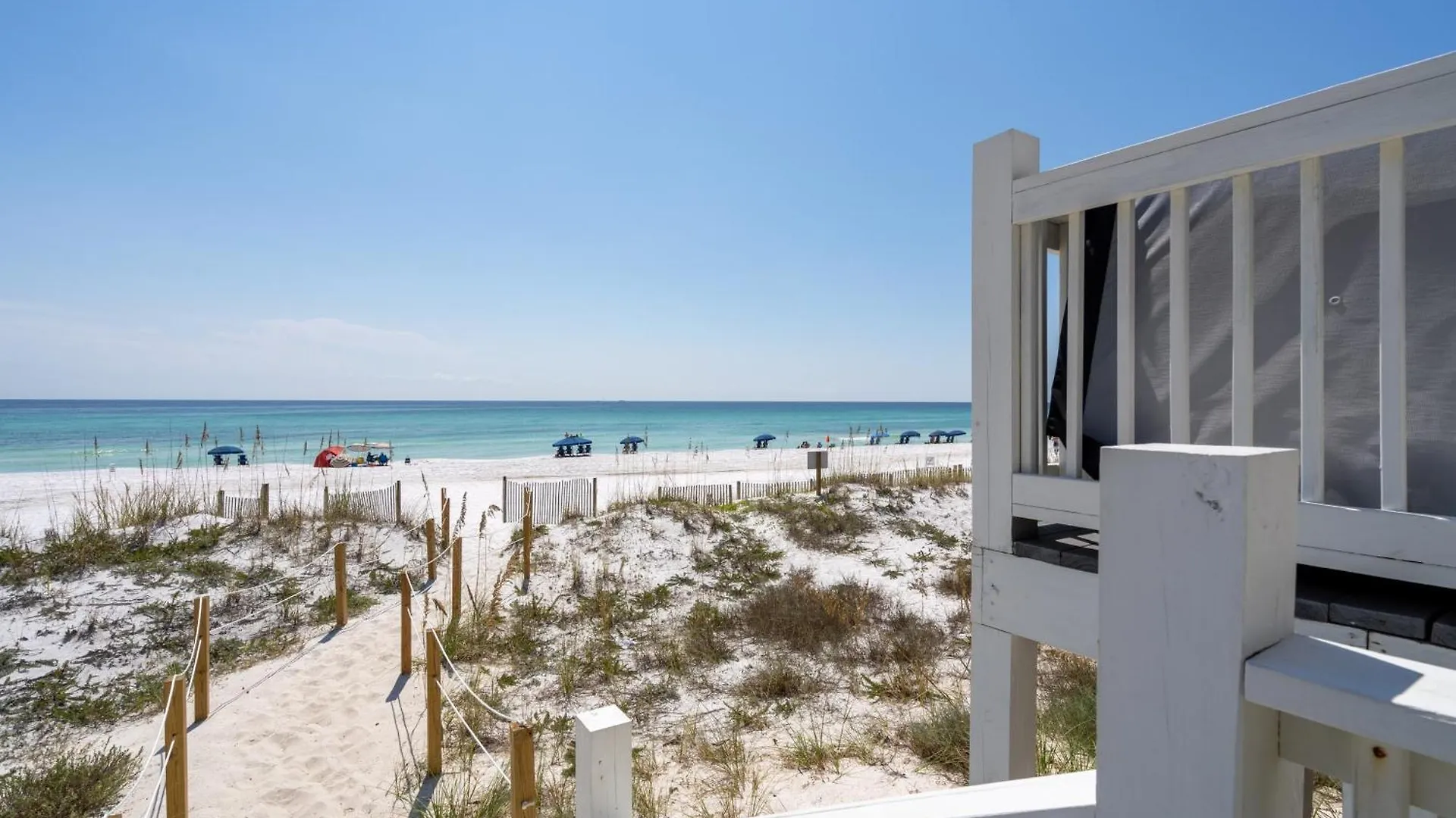 Backyard By Avantstay Oceanfront Paradise *