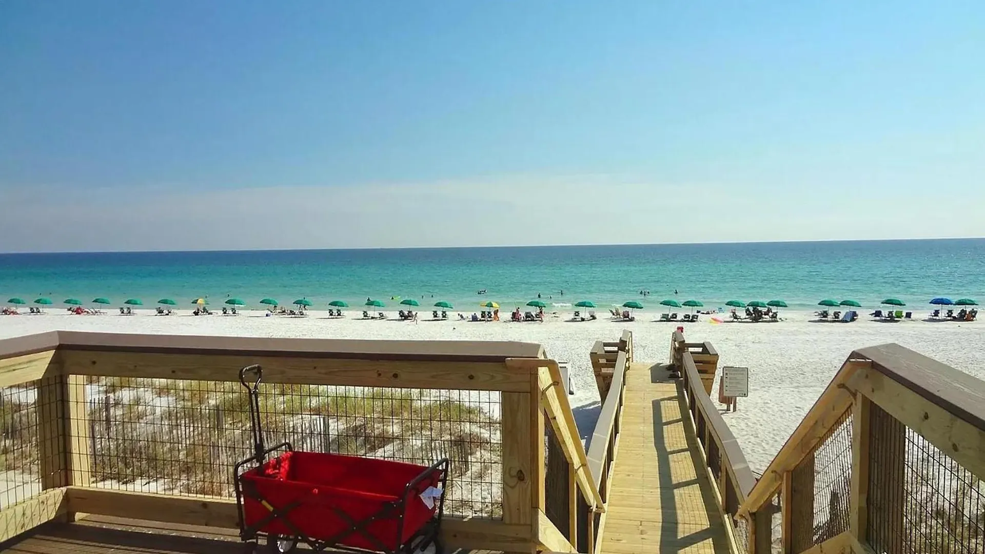 Destin4relaxin *