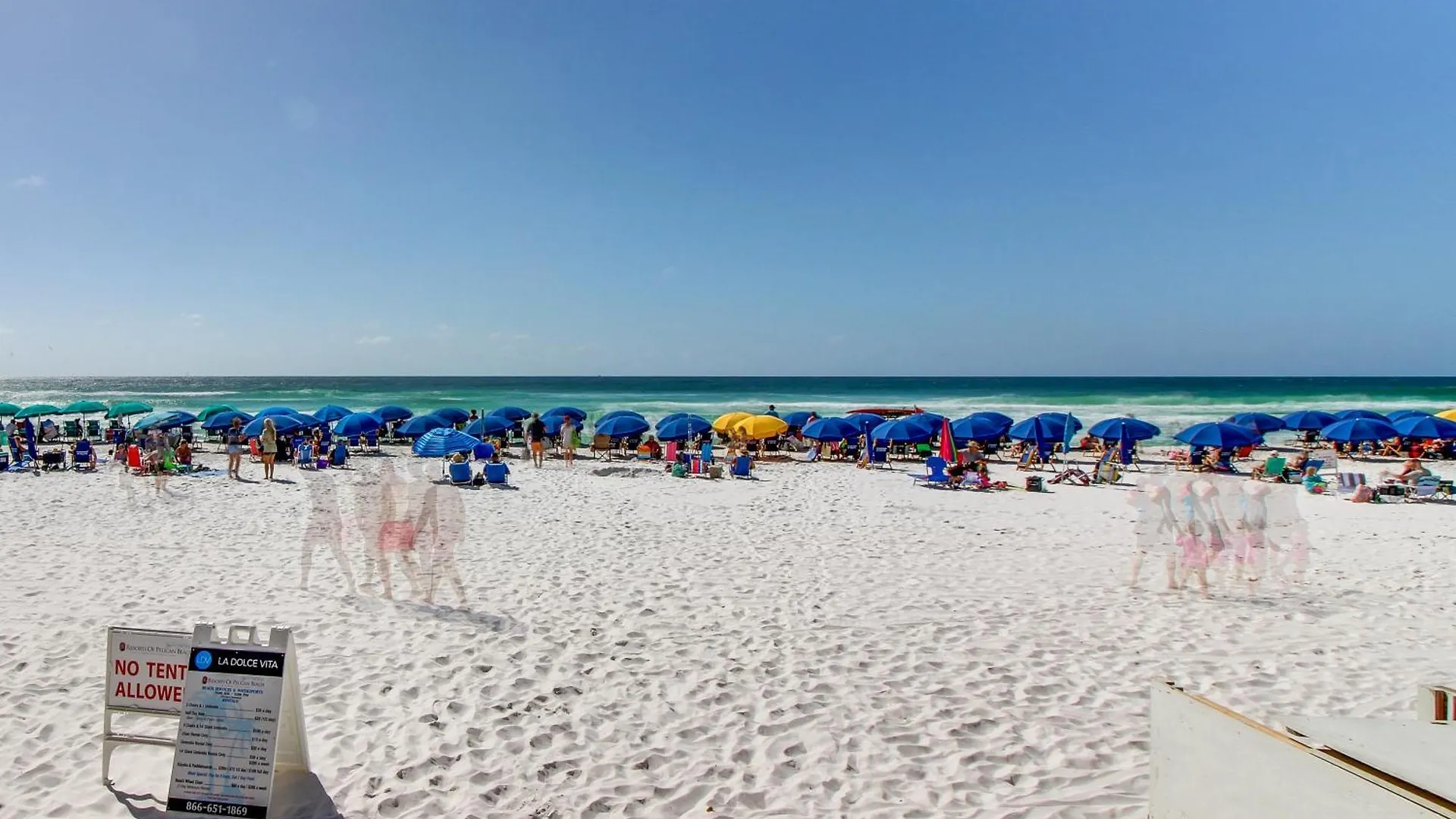 Pelican Destin