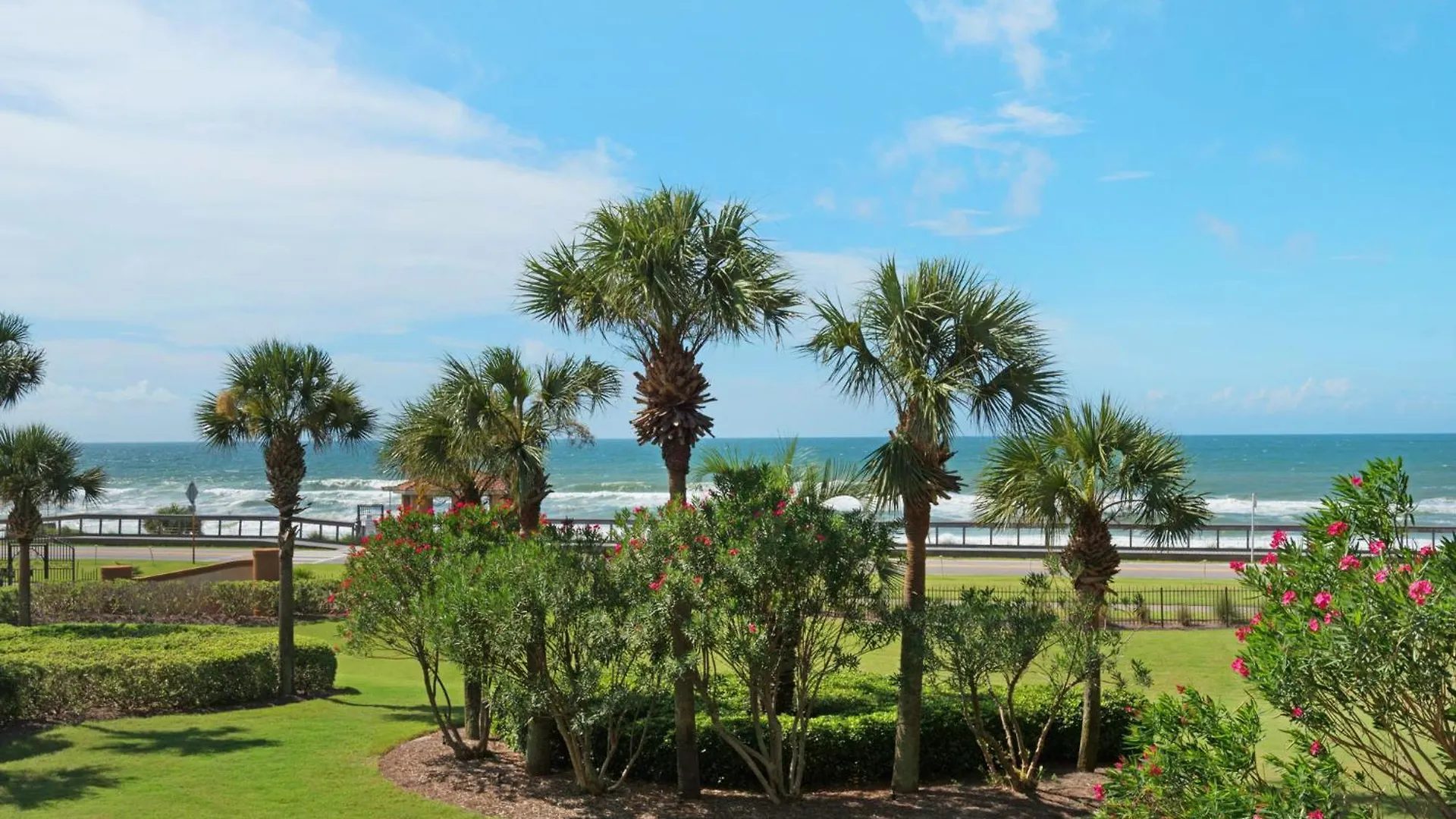 Mediterranea 304b By Newman-dailey