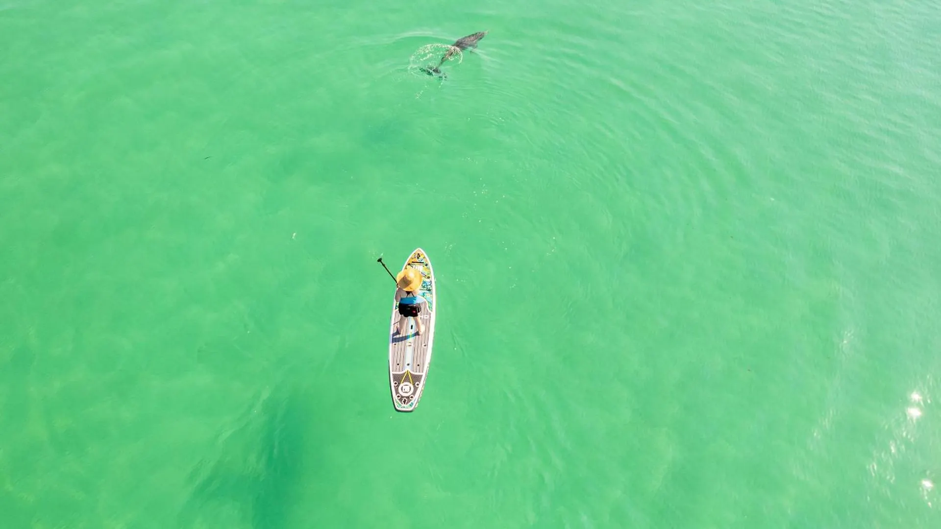 Apartment Inlet Reef 303- By Isle Destin