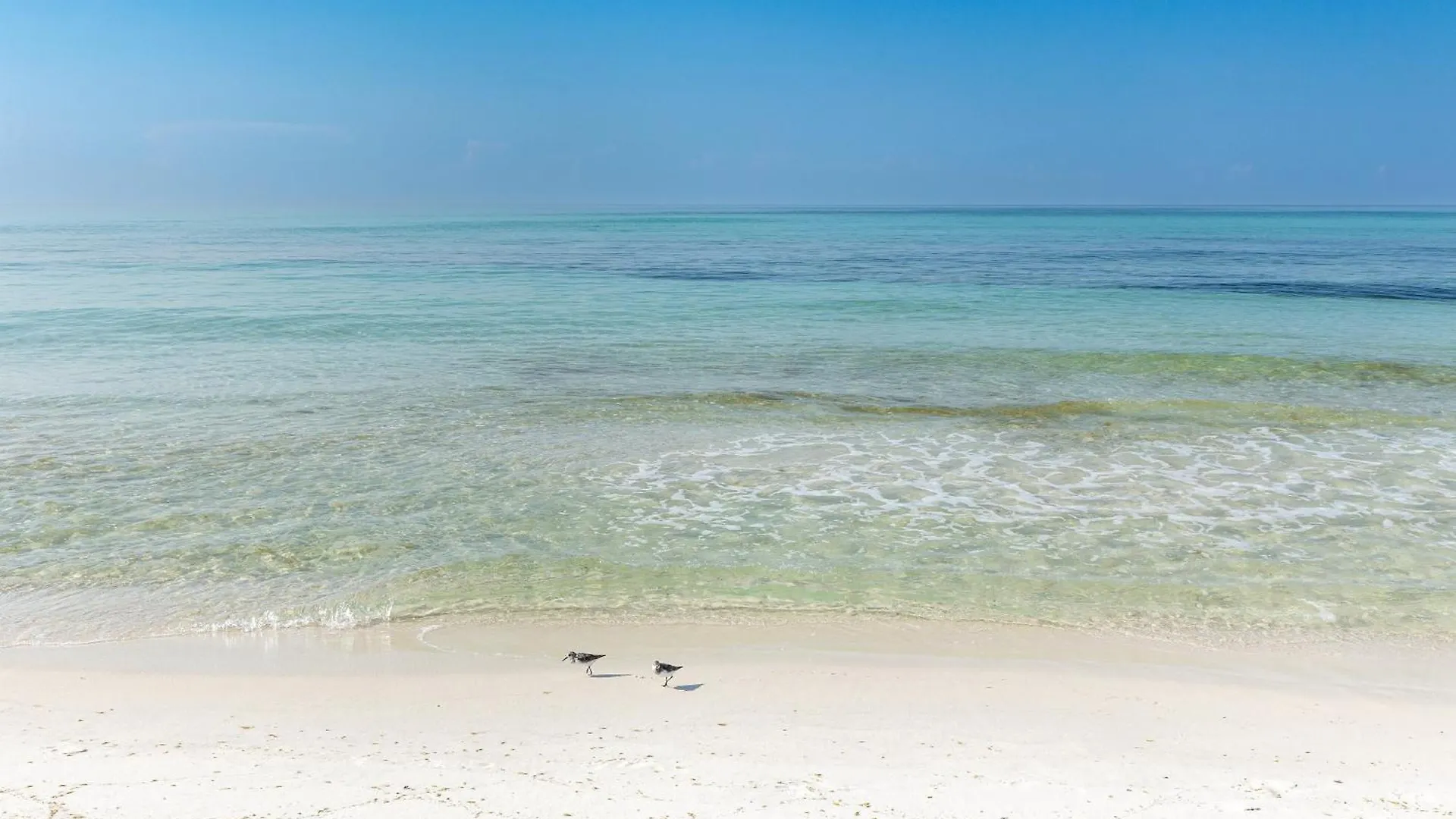 Dolphin Point 105b- By Isle Apartment