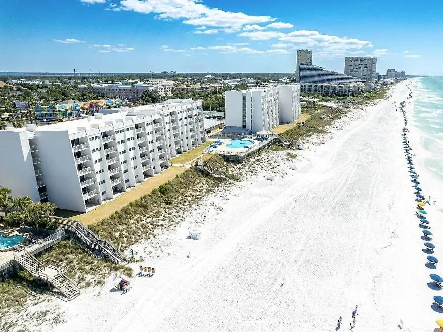 Mediterranea 304b By Newman-dailey