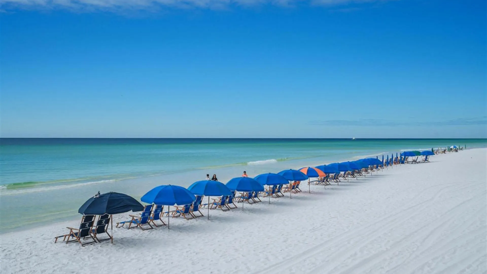 2061 Shoreline Towers Beach-special Spring Rate-free Setup