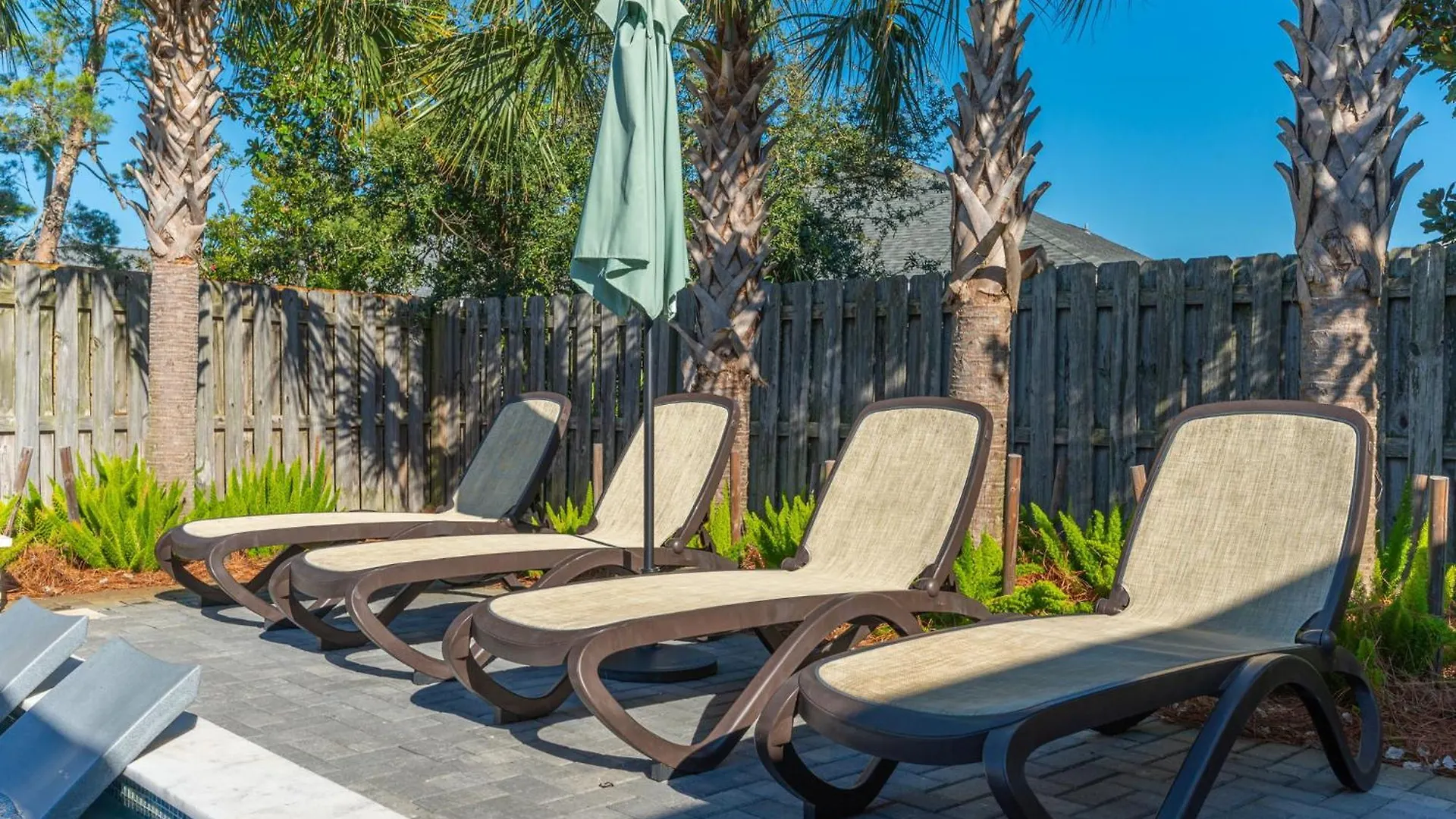 Beautiful Pet Friendly Home! New Tropical Pool, Opt Golf Cart And Pool Heat, Minutes To *