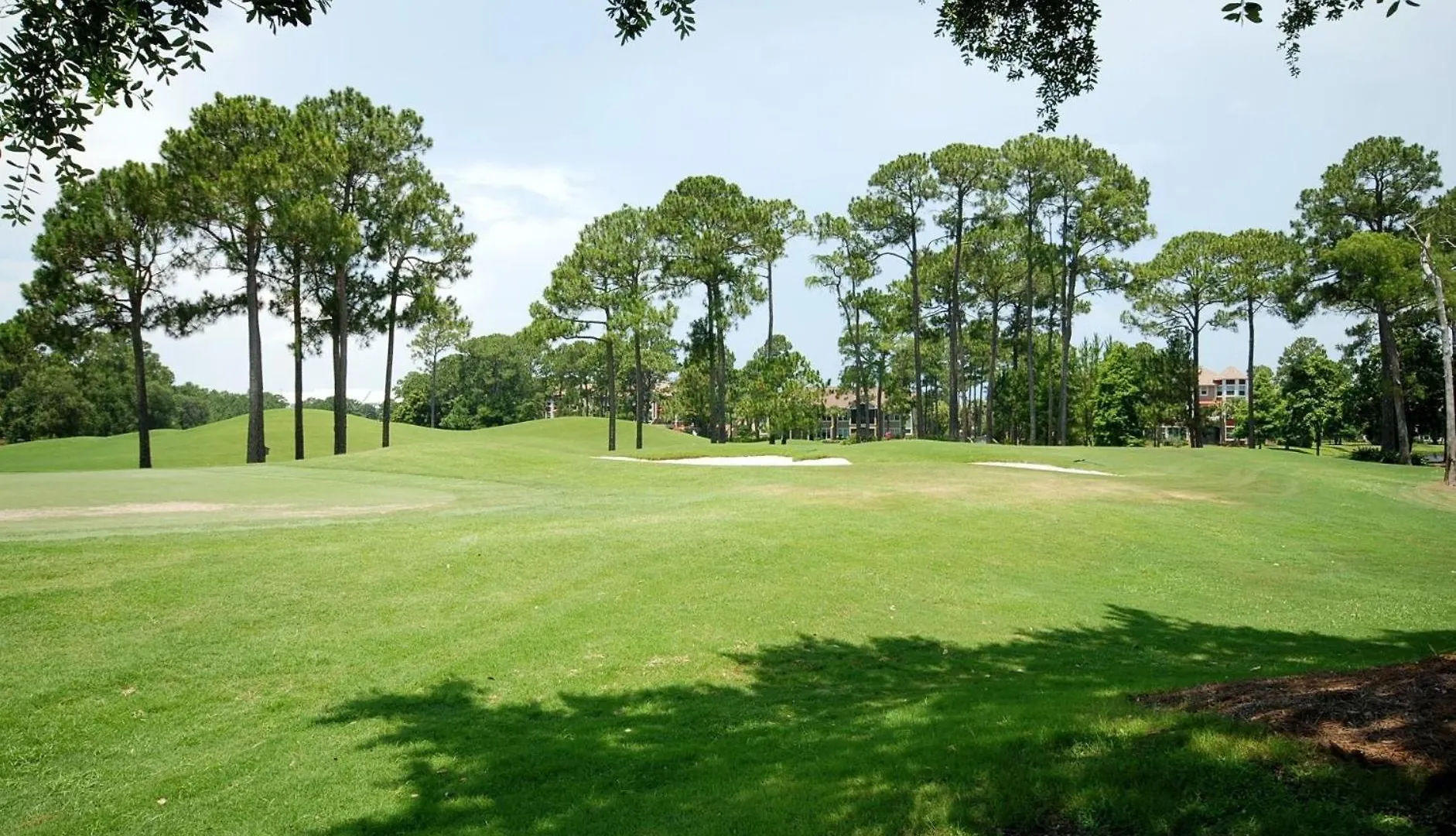 Turnberry 8501 *