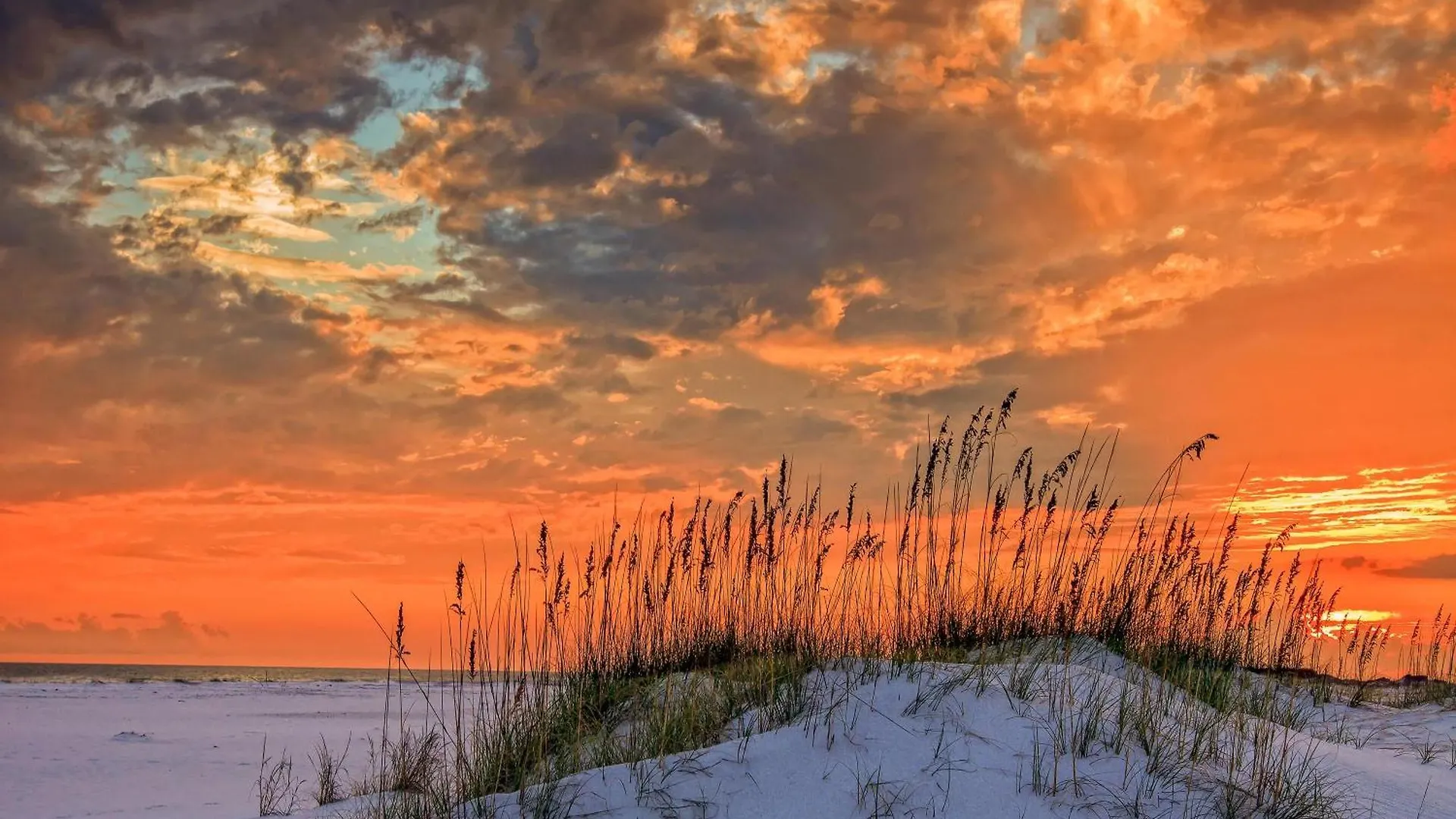 Beachside One 4016