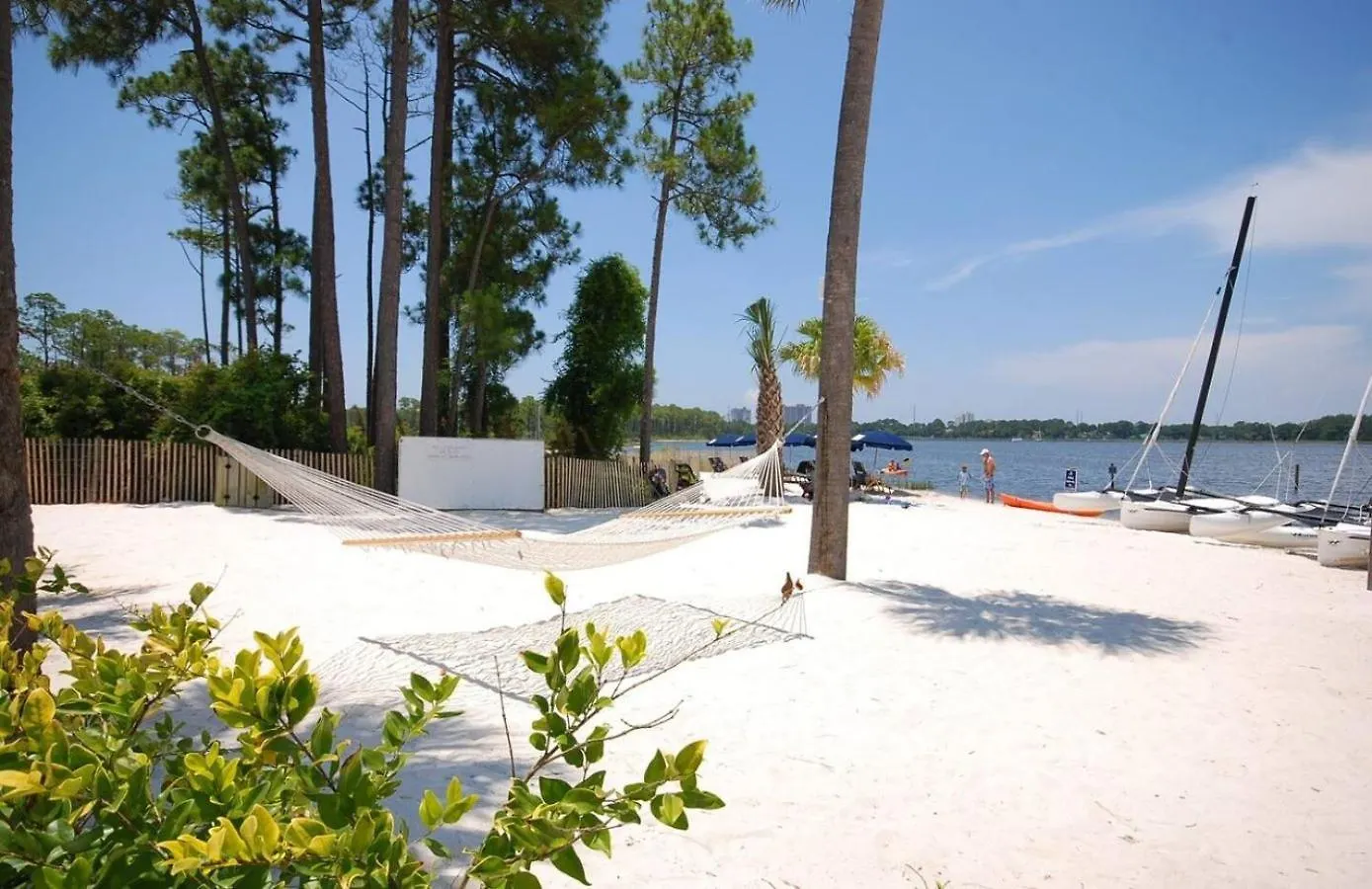 New Listing Awesome Luau Apartment *
