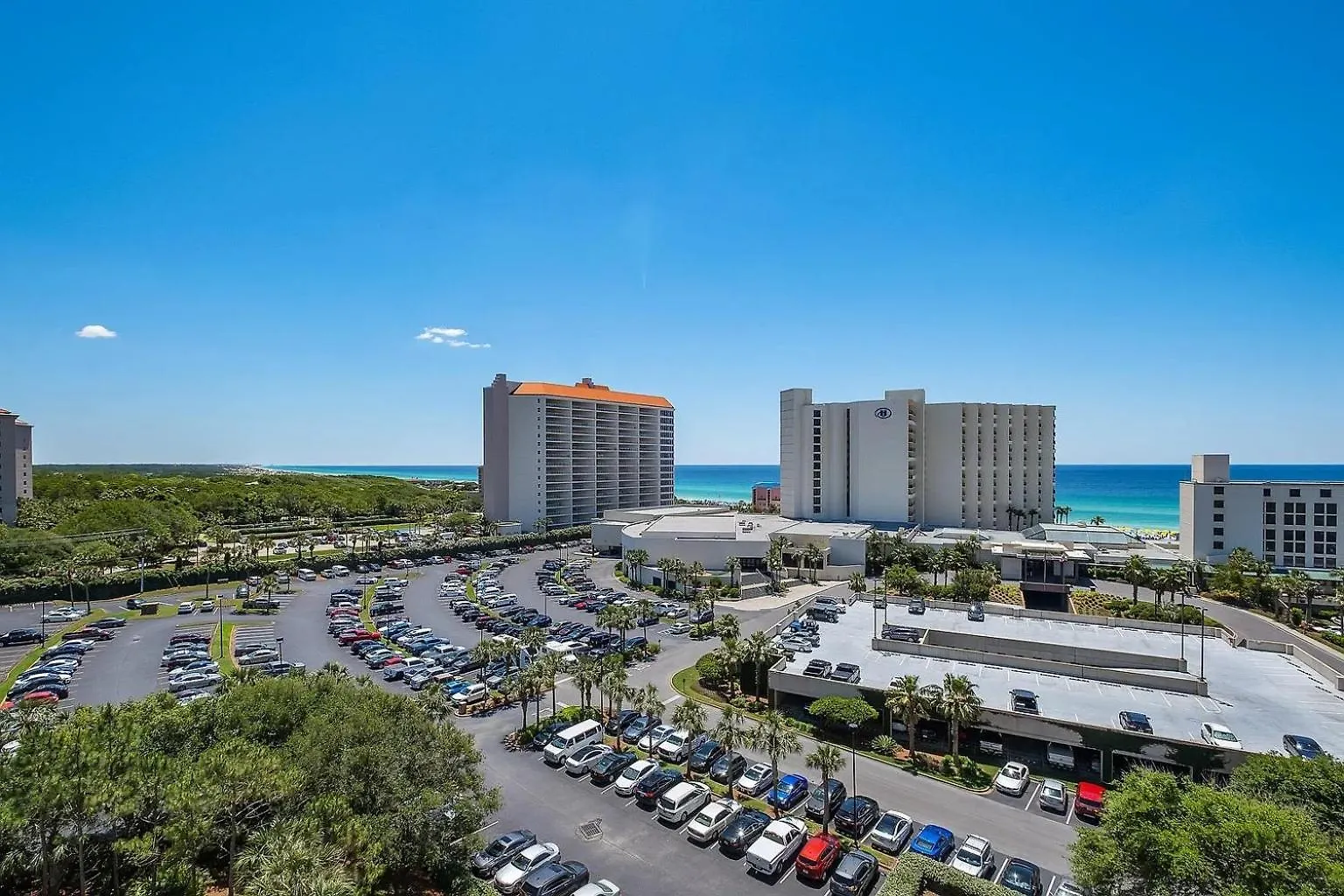 New Listing Awesome Luau