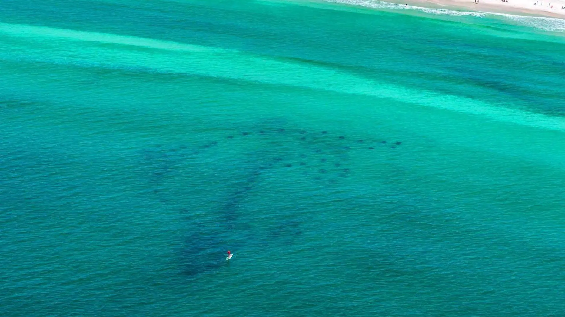 Anchored