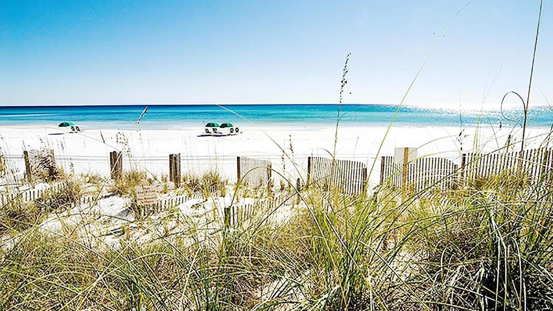 Alerio E402- Just Beachy *