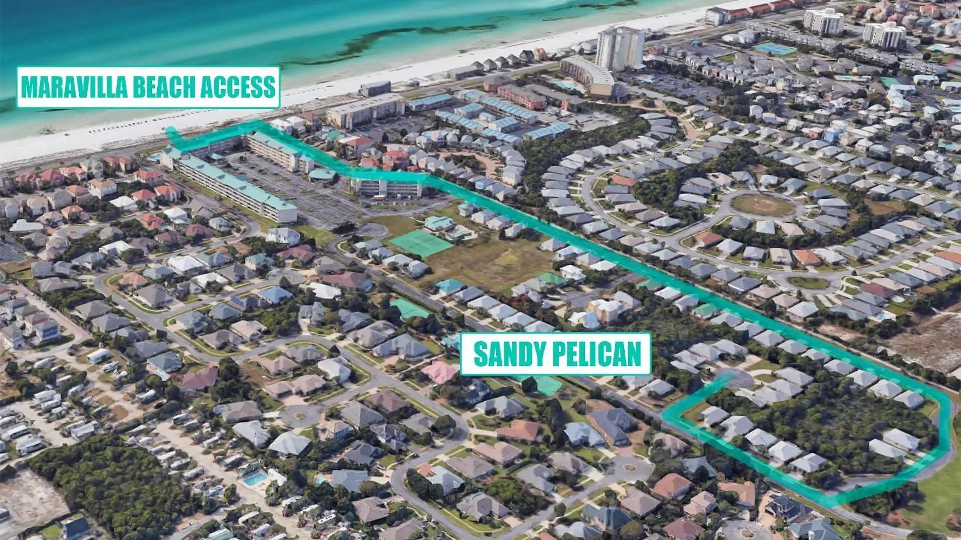 Sandy Pelican *