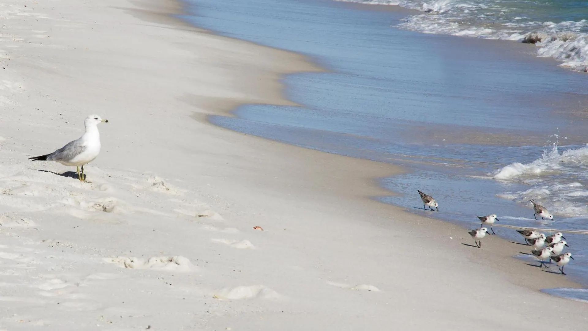 1865 Holiday home Destin