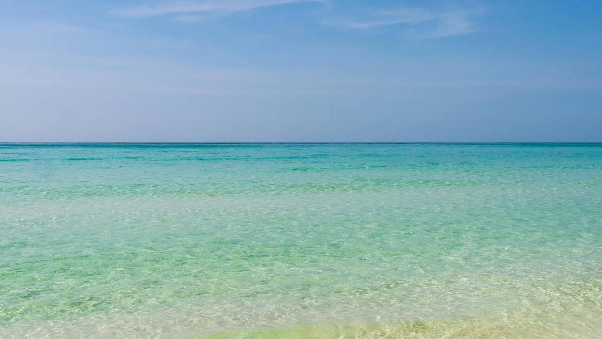 Indian 177 ~ Salty Sandollar Destin