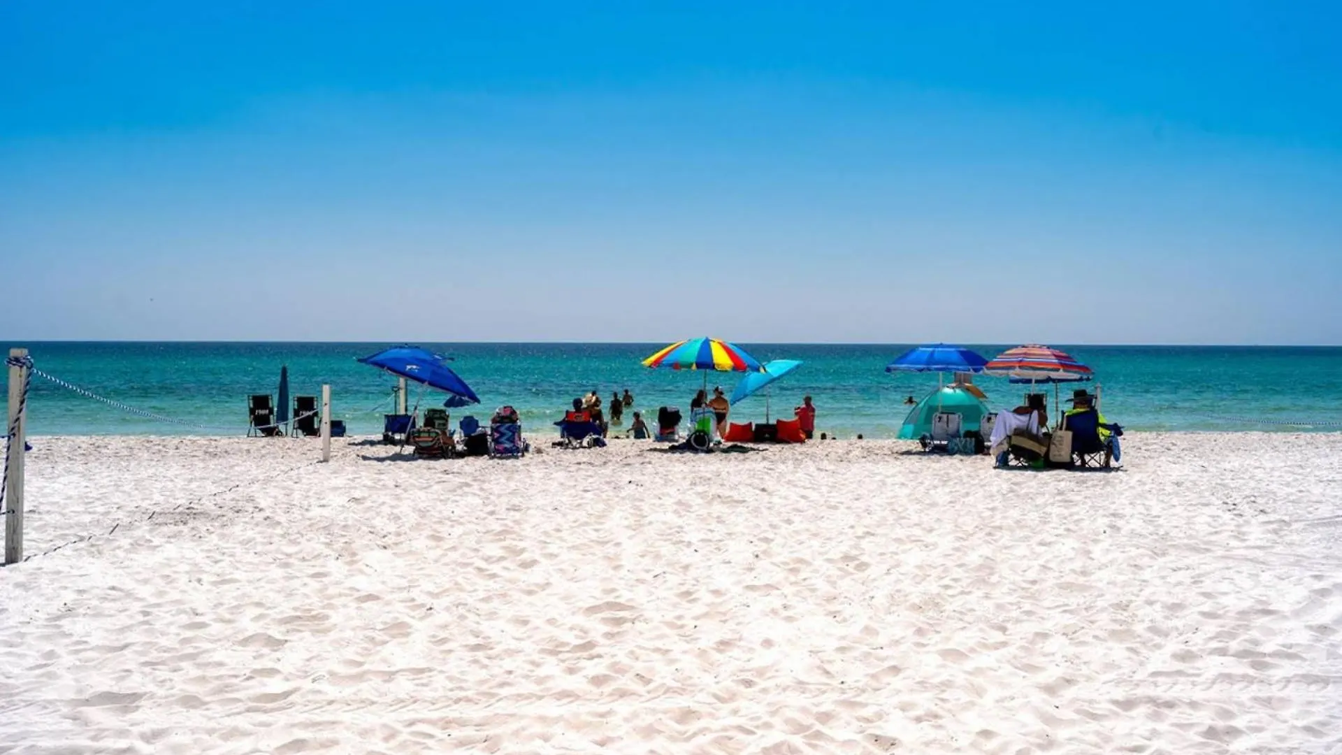 Indian 177 ~ Salty Sandollar * Destin