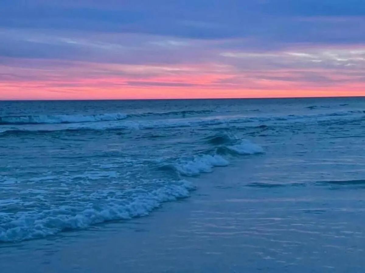Penthouse Amazing Gulf Views Walk Or Shuttle Sleeps 6 Holiday home *