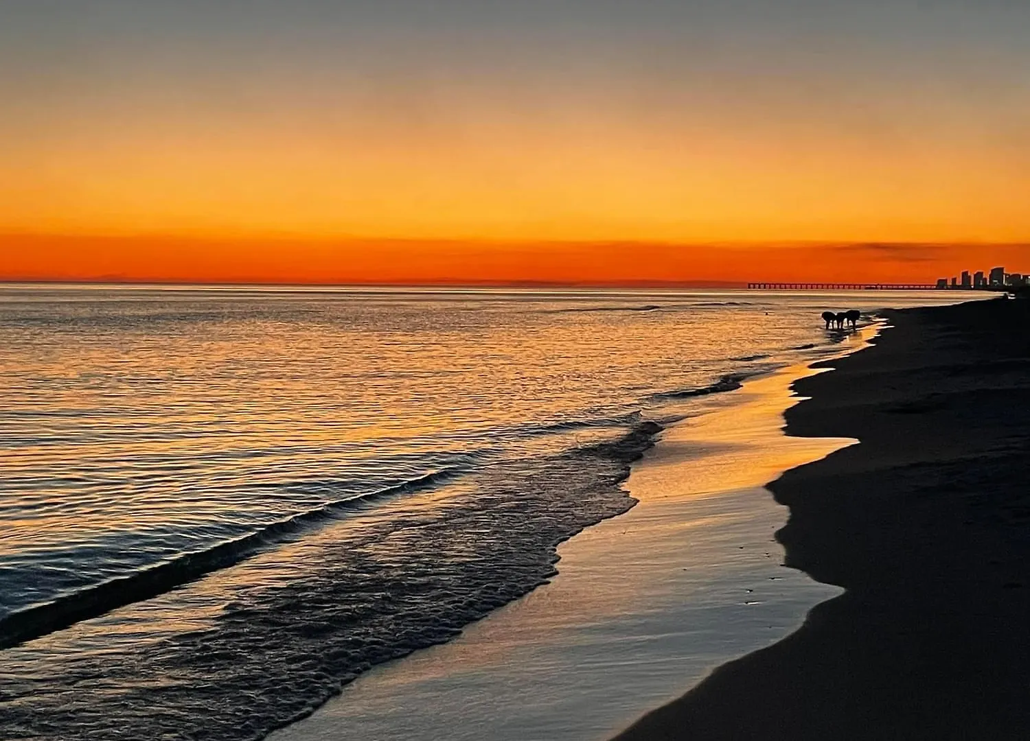 100 Gulf Shore Drive, Unit 502 * Destin