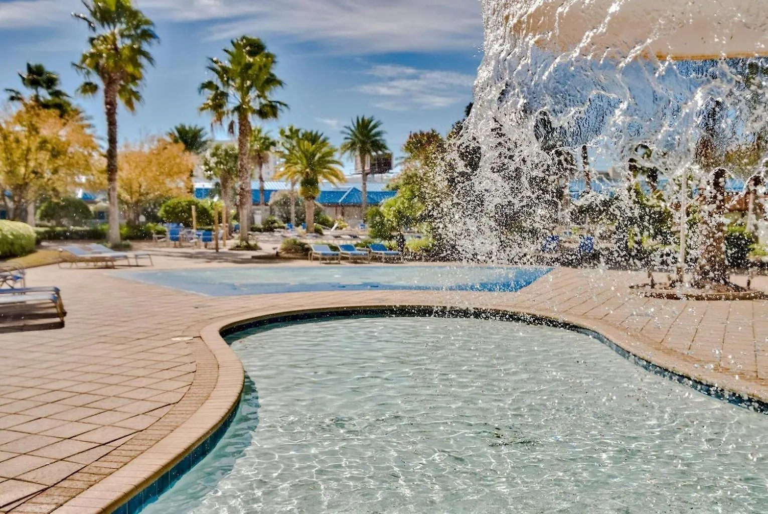 The Salty Palm *